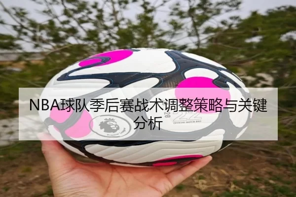NBA球队季后赛战术调整策略与关键分析