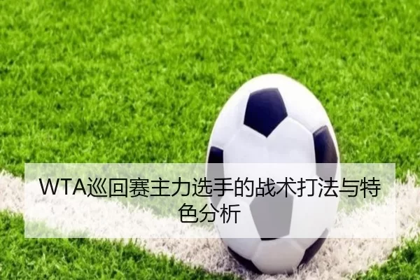 WTA巡回赛主力选手的战术打法与特色分析