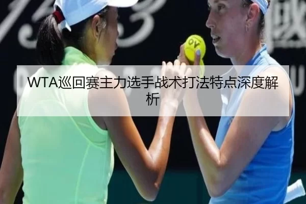 WTA巡回赛主力选手战术打法特点深度解析